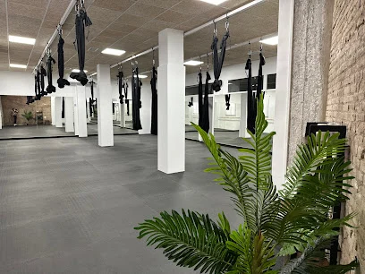 Aero Studio Seijaku - Yoga Aéreo, Reformer y Barre