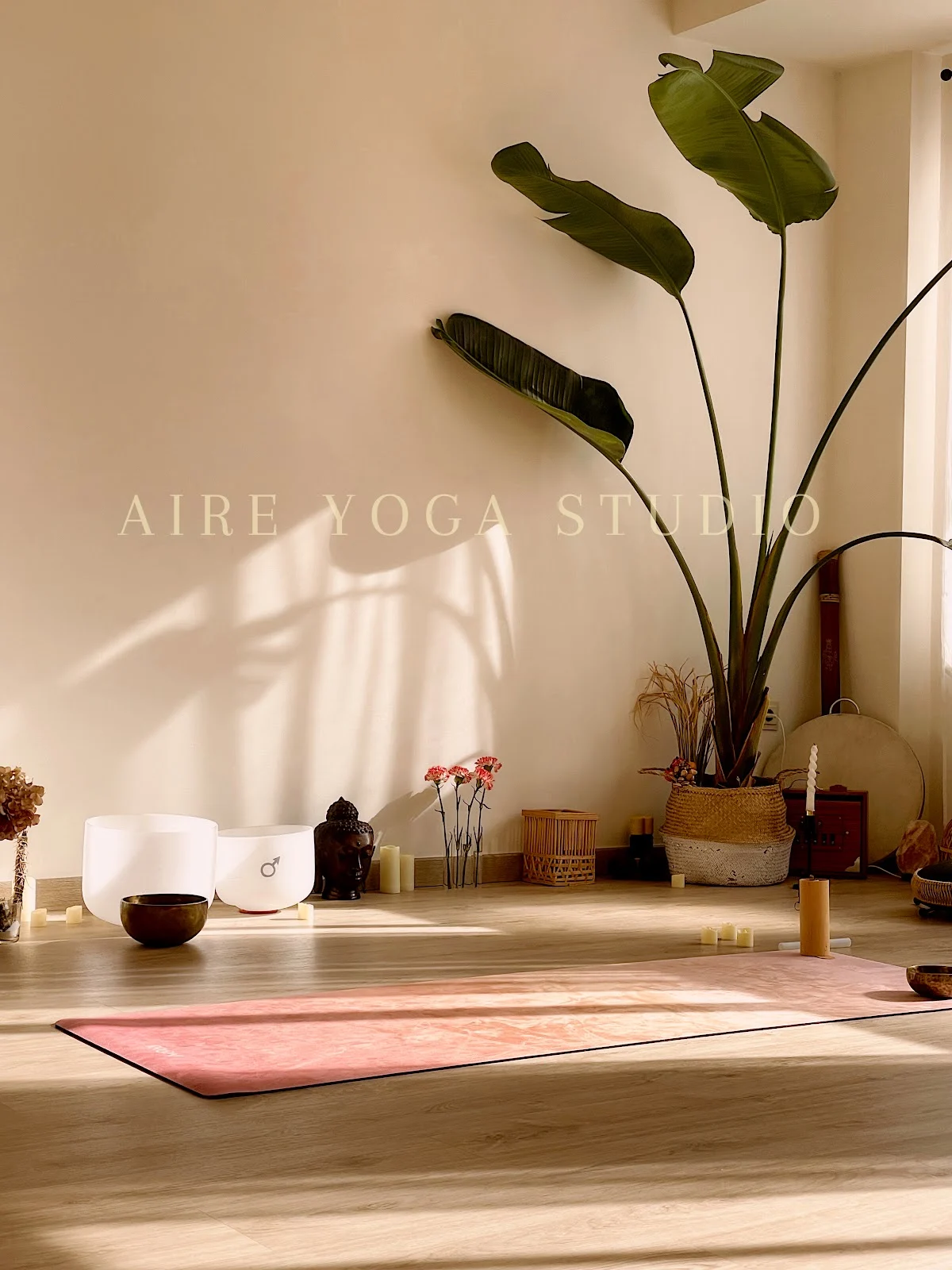 Aire Yoga Studio - 3