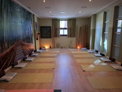 Alaya Espacio Yoga