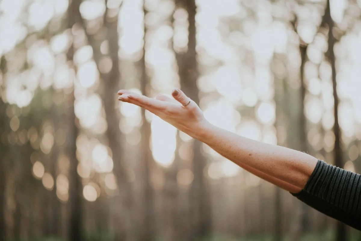 Ananda Centro Sanitario Yoga | Yoga y Mindfulness en Vitoria-Gasteiz