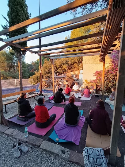 Ananda Yoga & Bienestar