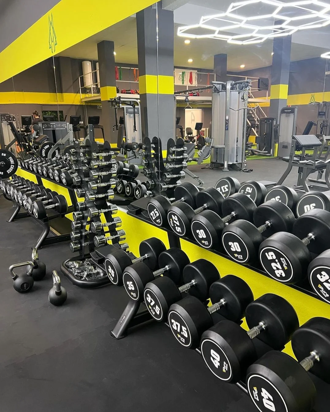 Anubis gym - 2