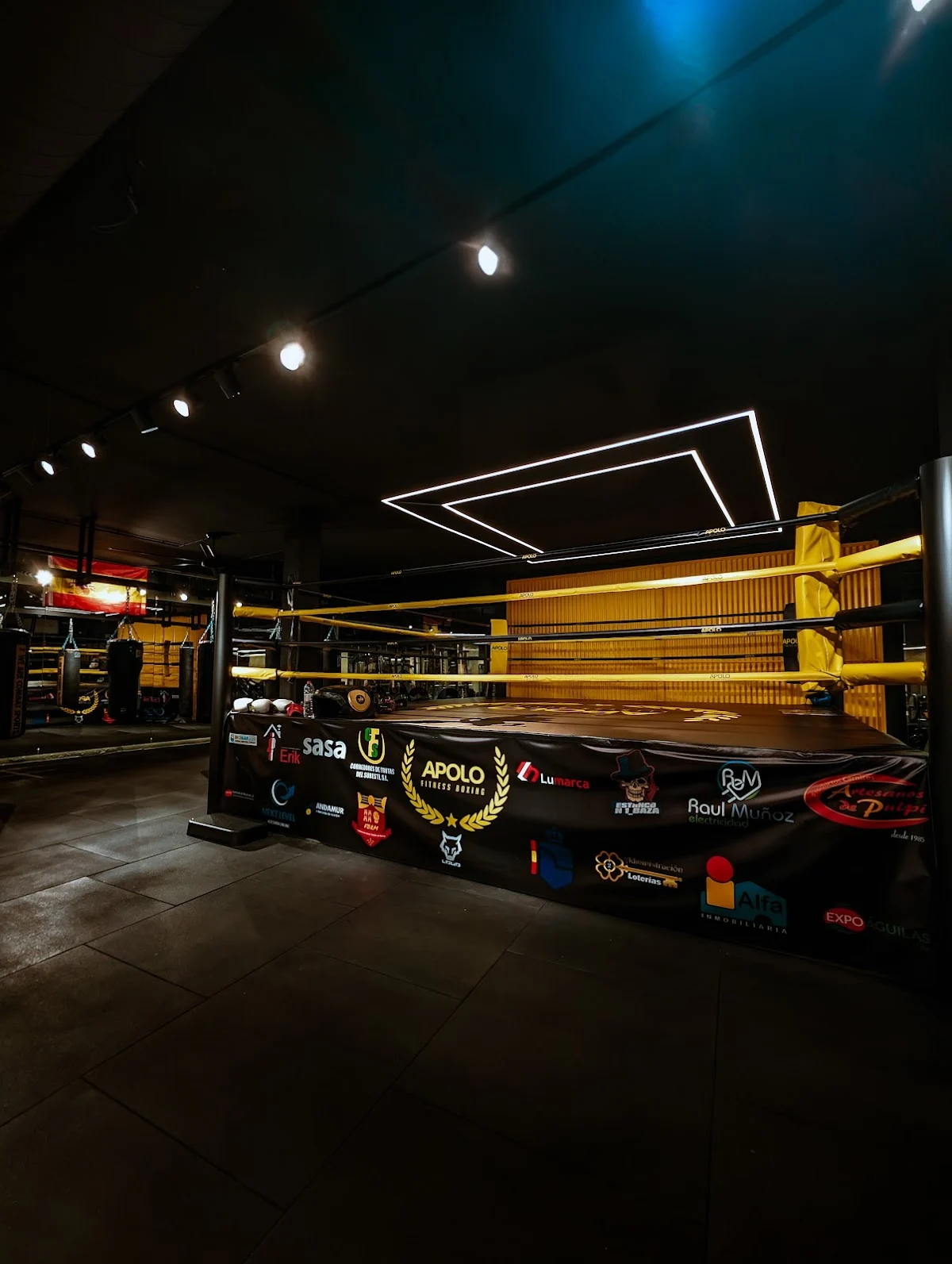 Apolo Fitness Boxing