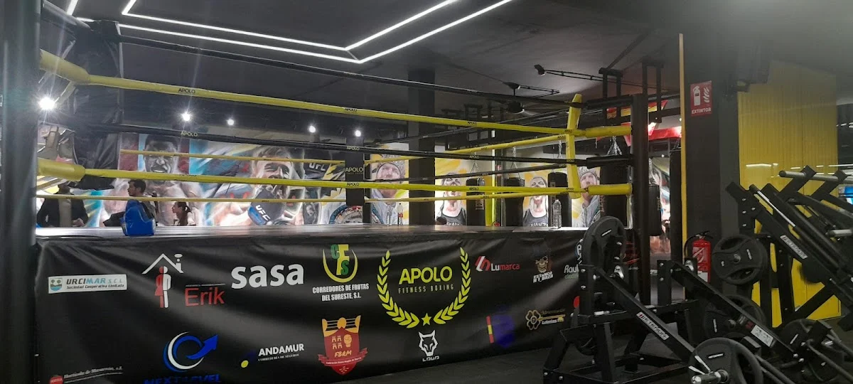Apolo Fitness Boxing - 2
