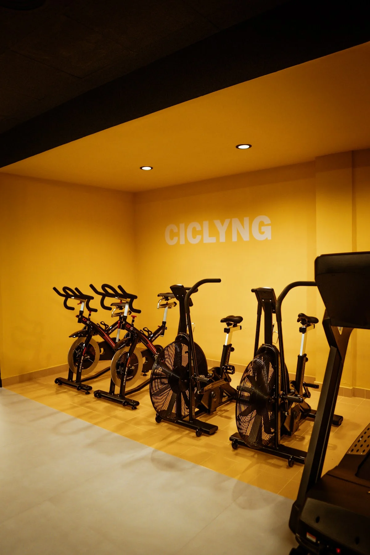 Apolo Fitness Boxing - 4
