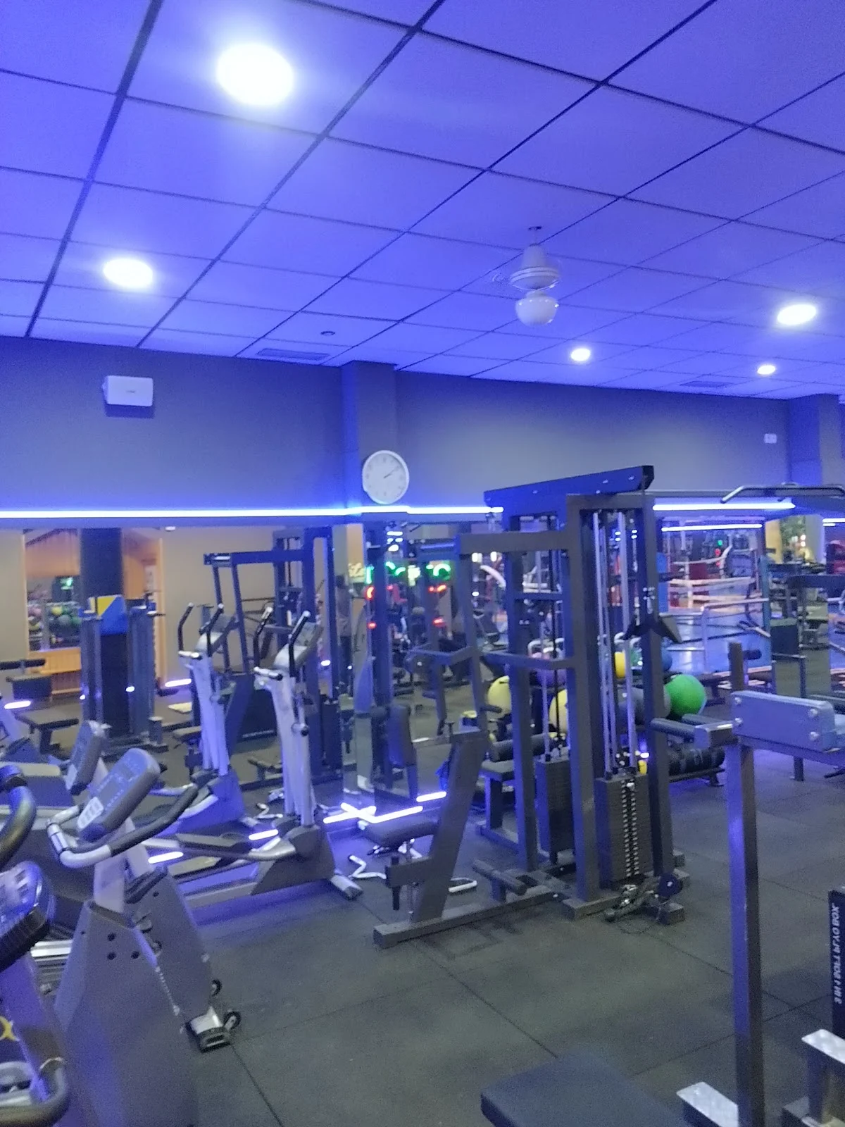Asociación Deportiva la Seda