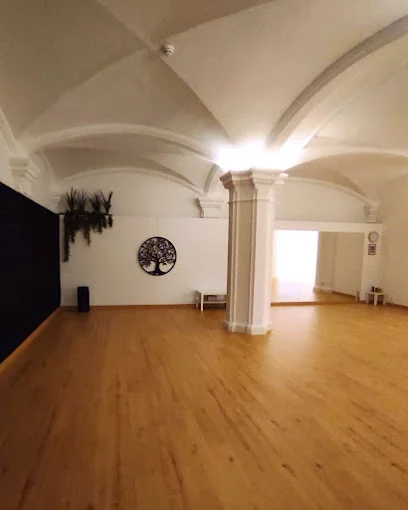 āyucoop - Espai de Ioga a Terrassa