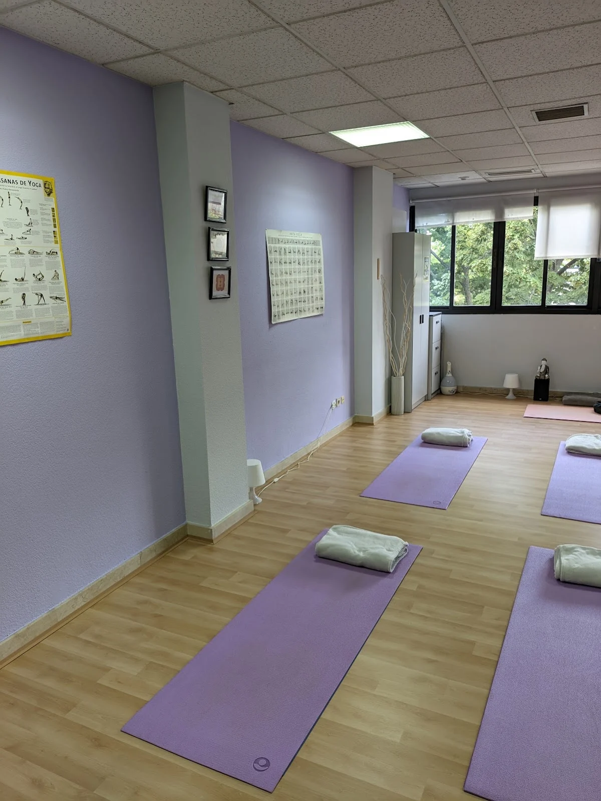 Bhasma. Escuela de yoga - 2