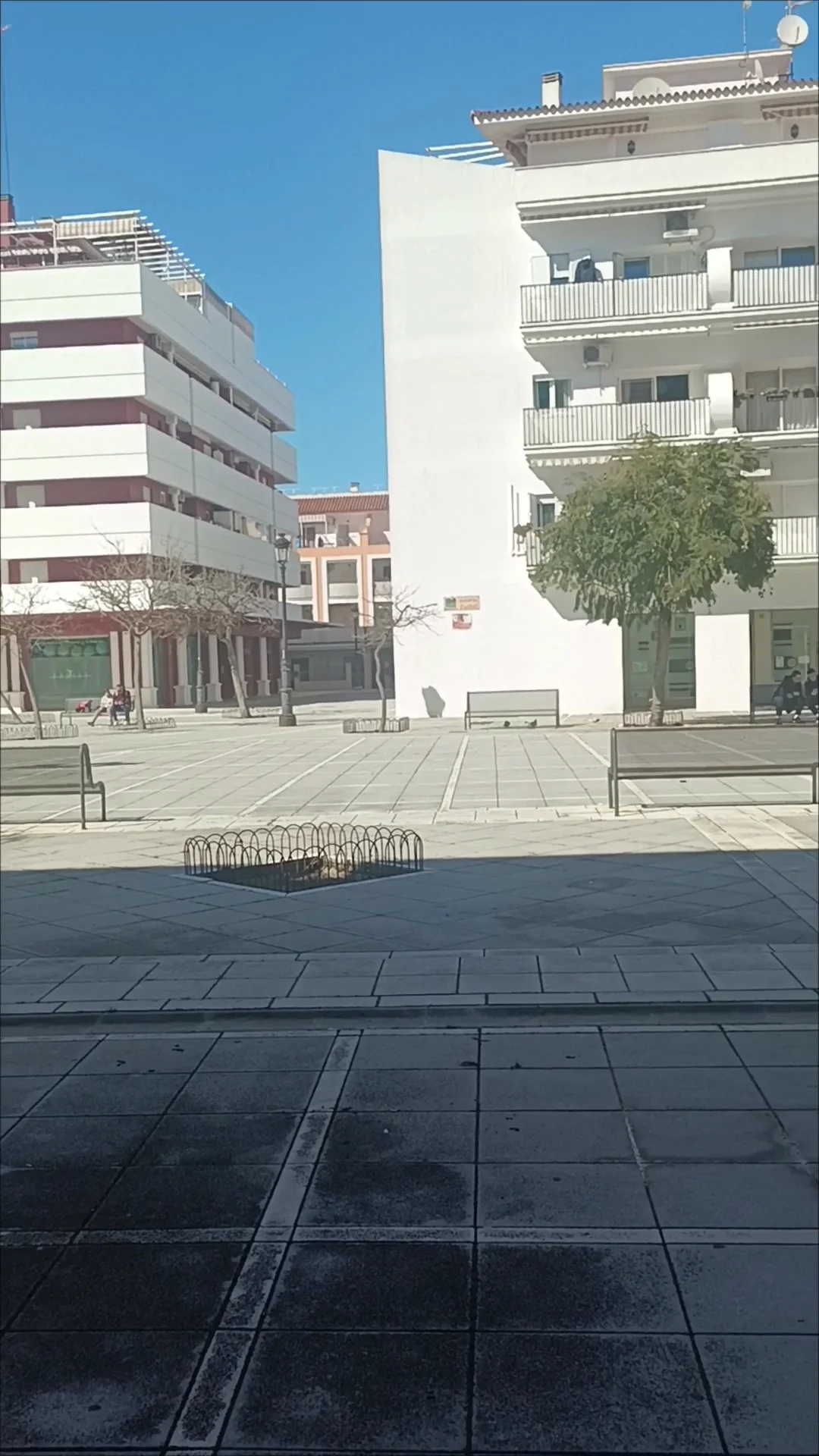Bienestar en Movimiento Sanlúcar - 3