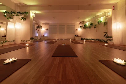 Bienestar Holístico