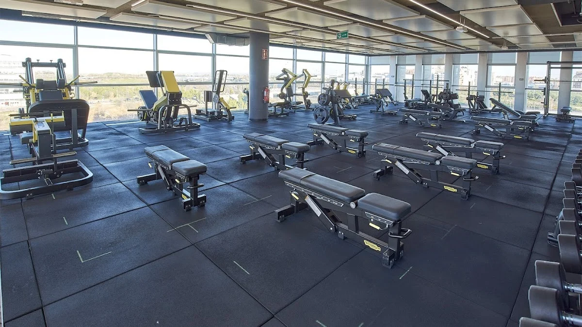 Body Factory La Gavia