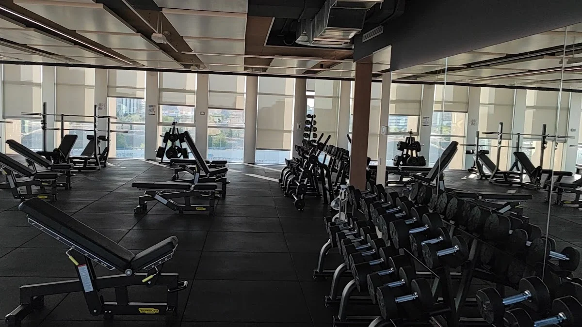 Body Factory La Gavia - 2