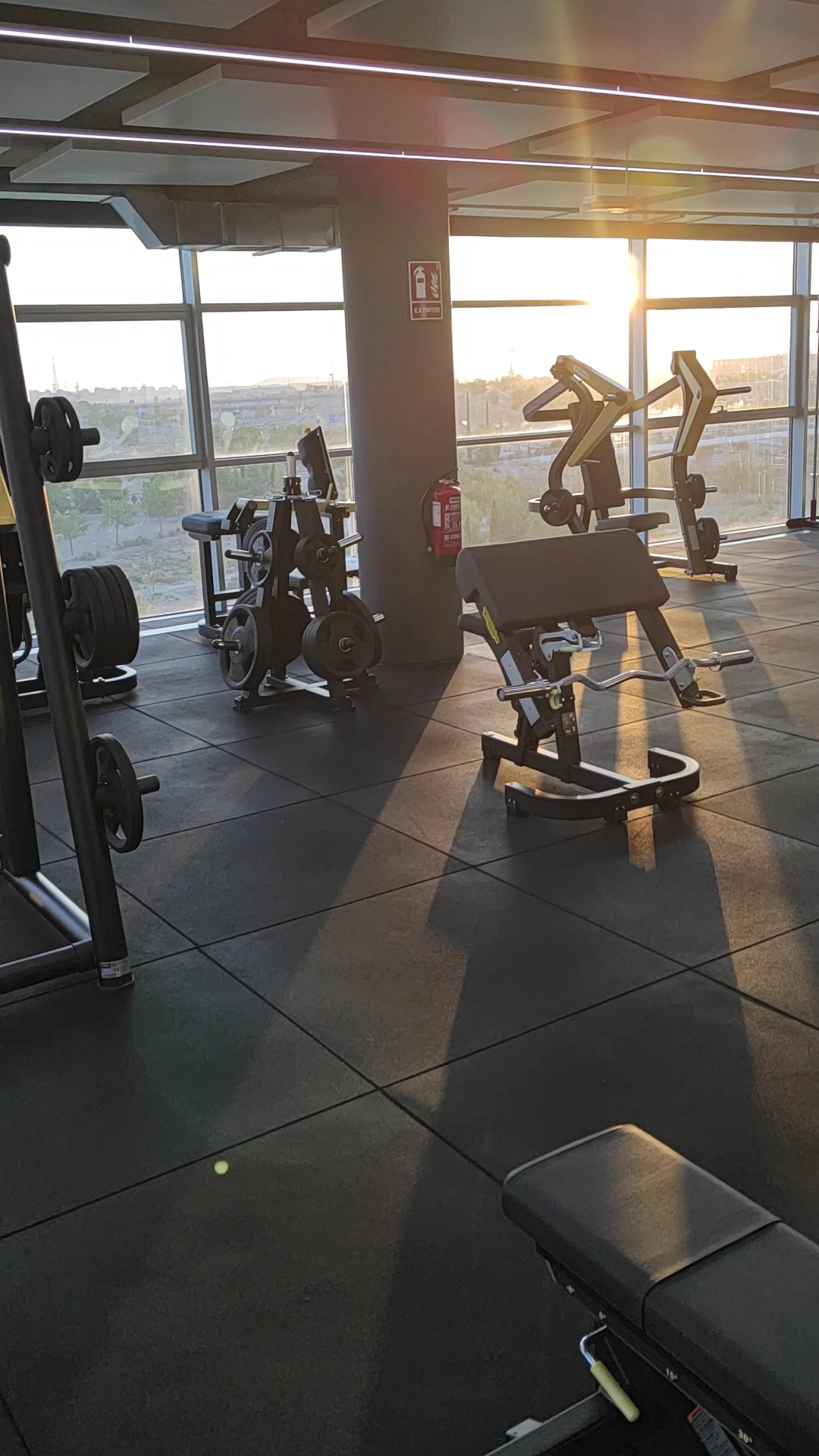 Body Factory La Gavia - 4