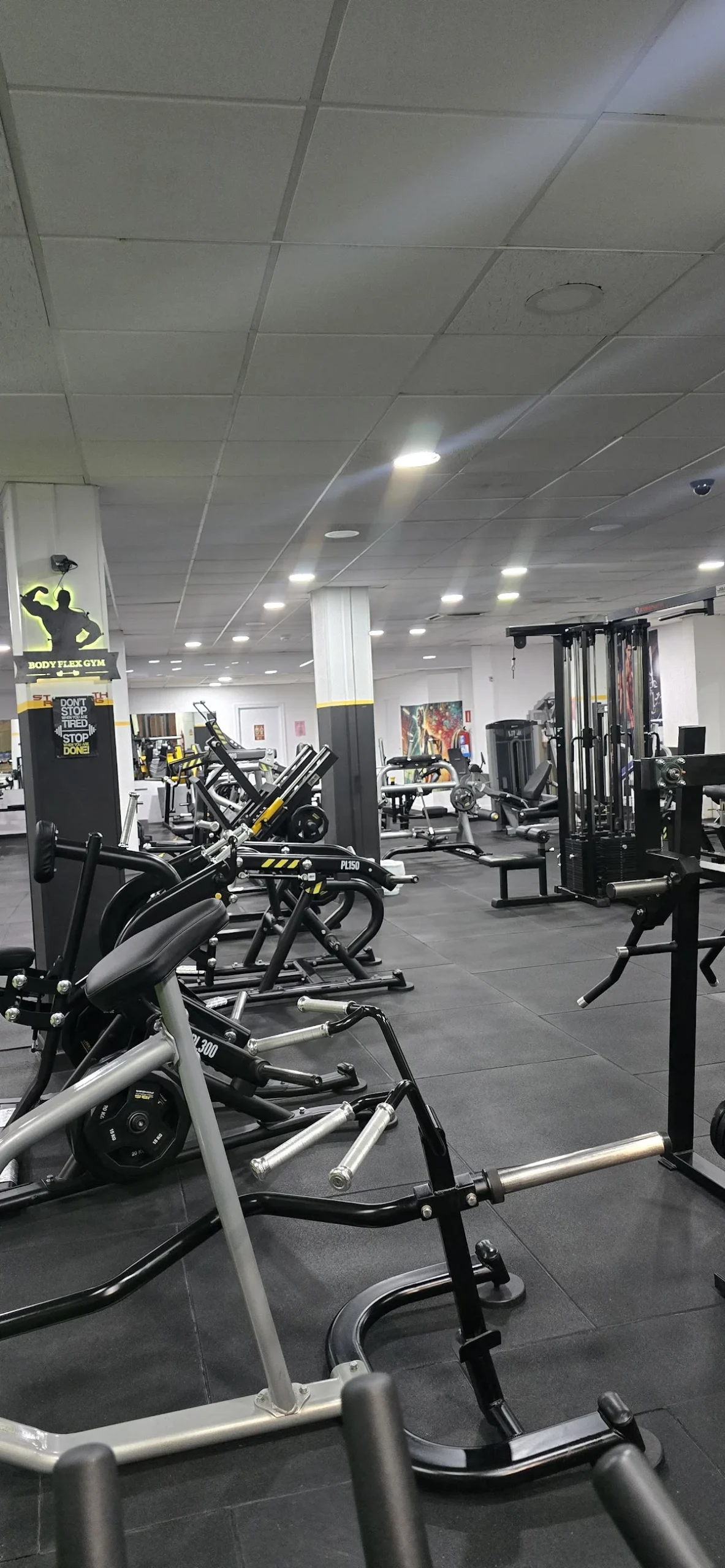 Body flex Gym
