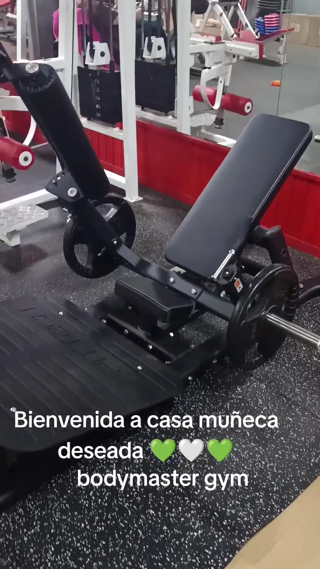 Bodymastergym - 2