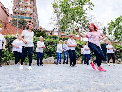 Centre Cívic Teixonera