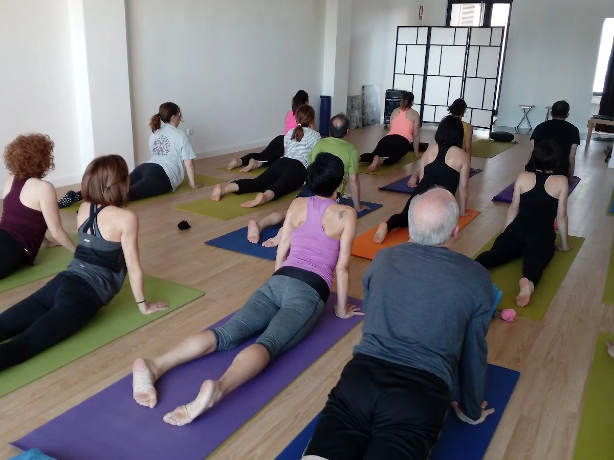 Centro Integral de Yoga - 2