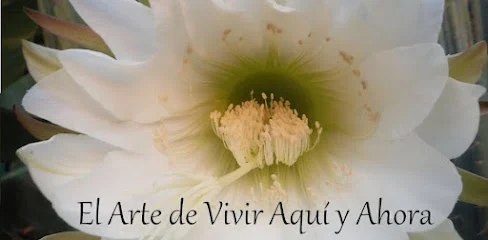 Centro Mindfulness Málaga