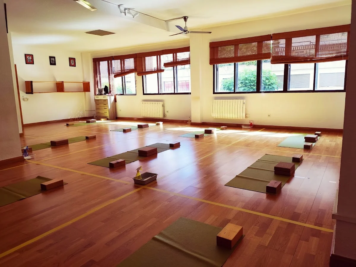 Centro Seiza Escuela de Yoga Iyengar - 2
