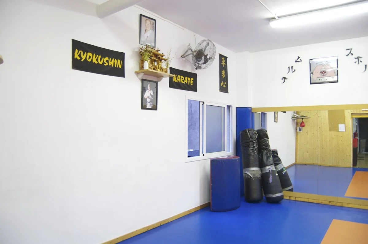Club Gimnasio Multi-Sport - 4