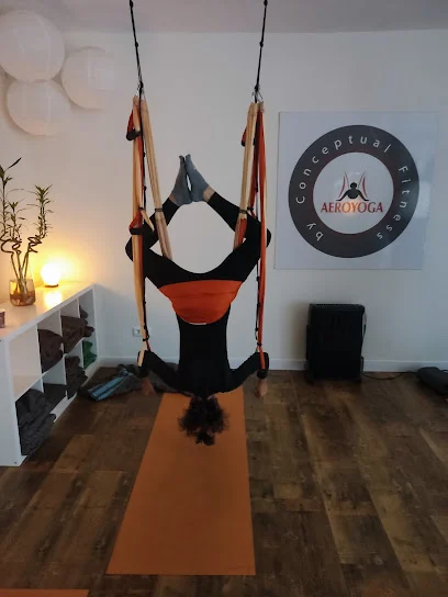 Cuerpo y Alma - Estudio de aeroyoga