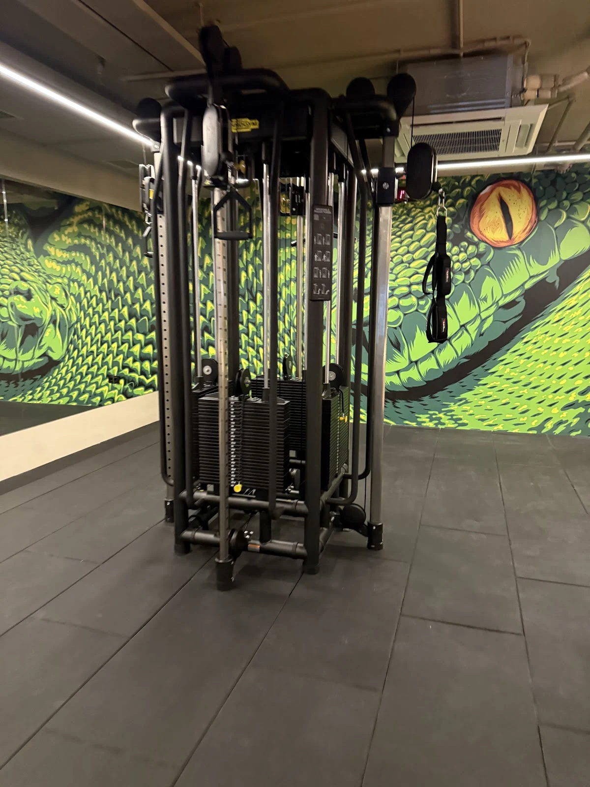 Dreamfit Hospitalet - 4