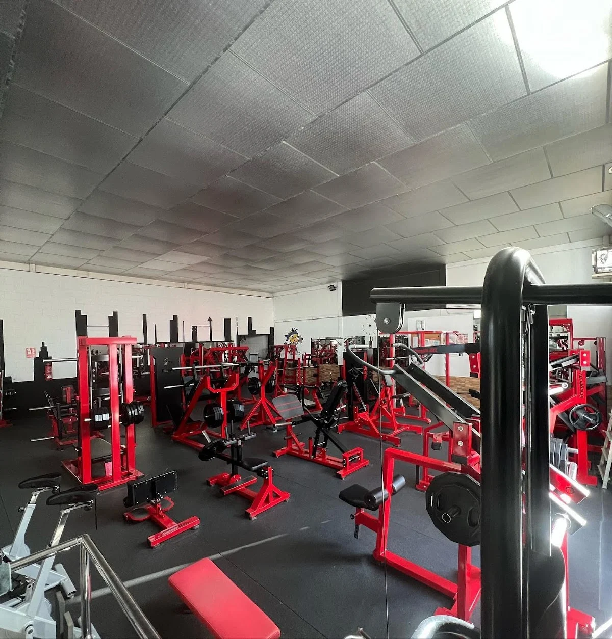 Durán’s Gym Puente Genil