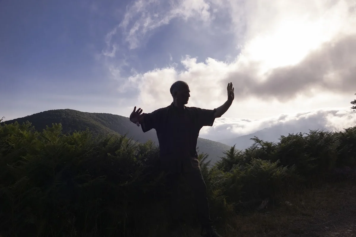 ️ ASOCIACION SHEN QI YI.- Chi Kung y Tai Chi Chuan en Pamplona