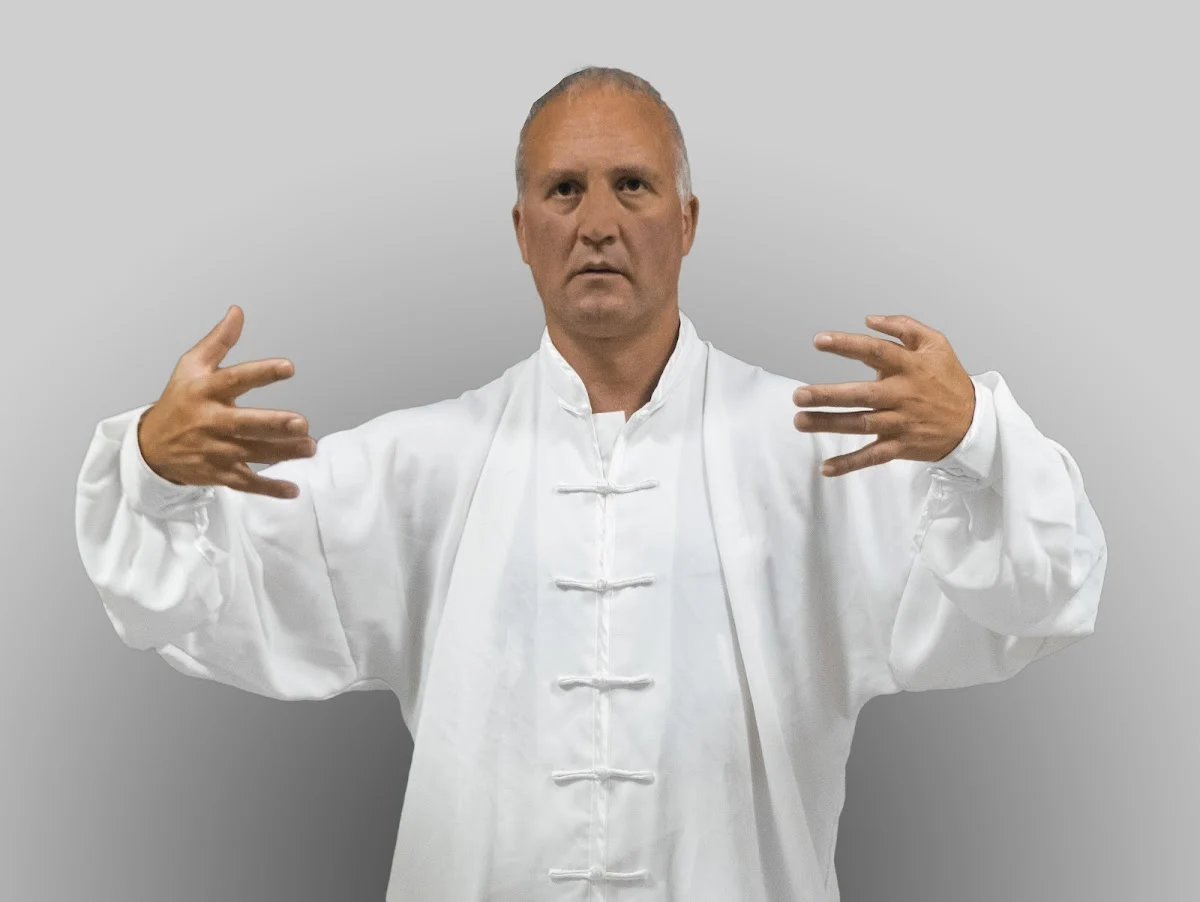 ️ ASOCIACION SHEN QI YI.- Chi Kung y Tai Chi Chuan en Pamplona - 2