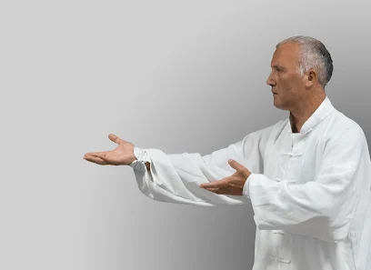 ️ ASOCIACION SHEN QI YI.- Chi Kung y Tai Chi Chuan en Pamplona ️