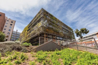 ègora | TURÓ DE LA PEIRA