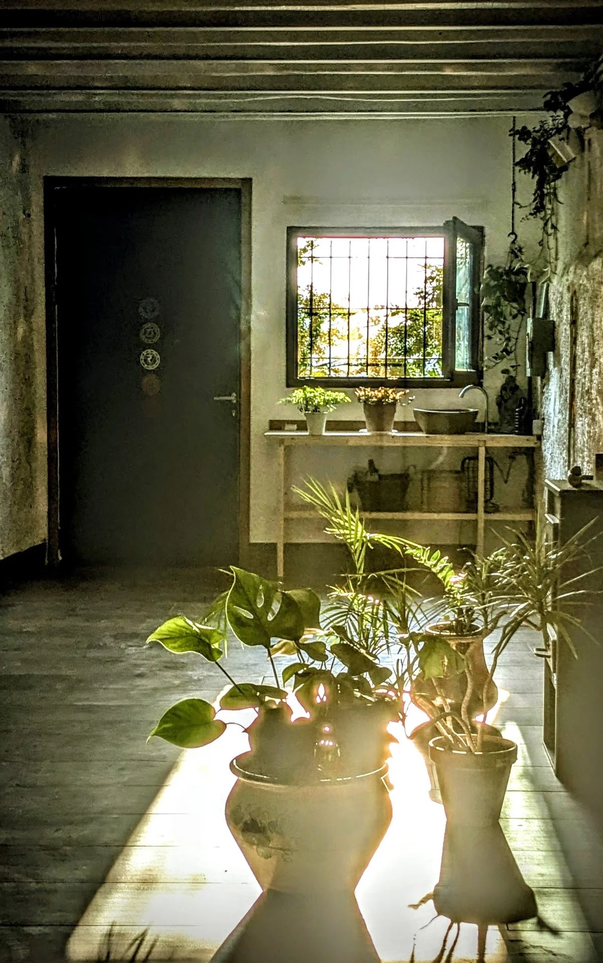 El Taller del volcà