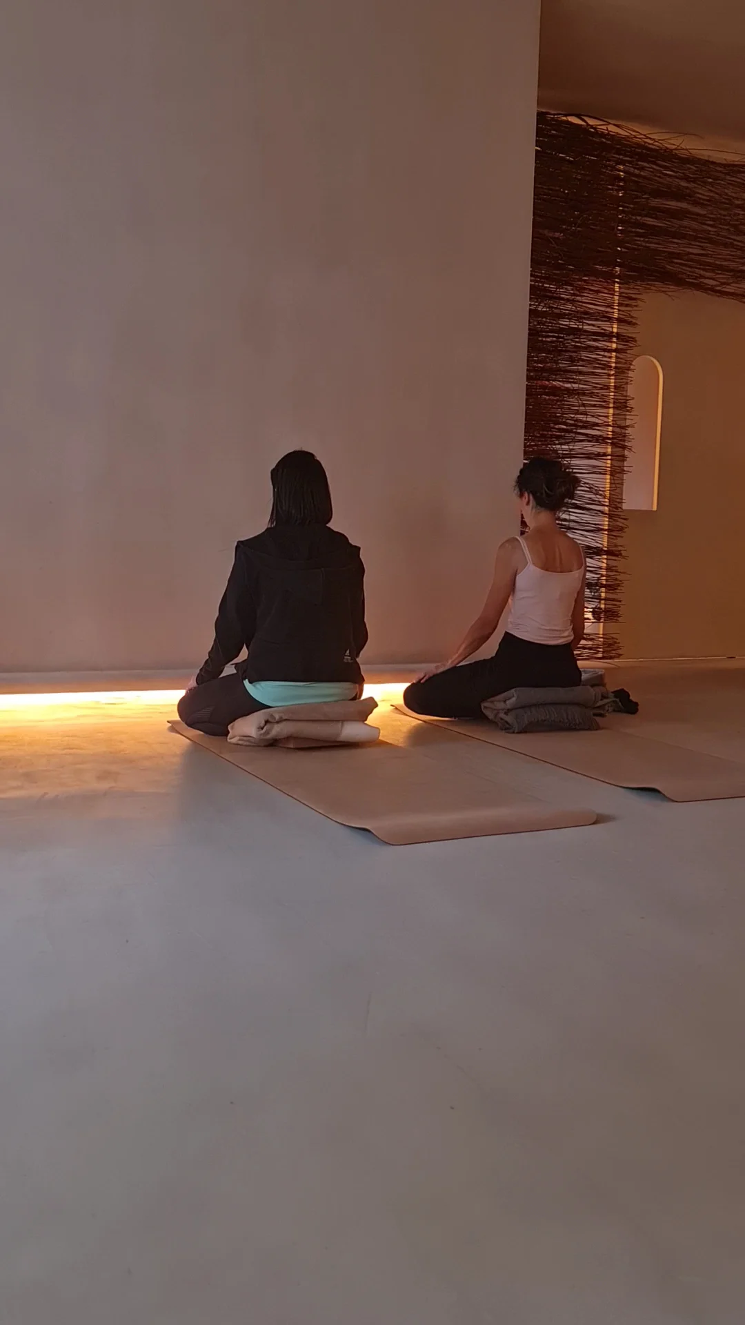 elas studio - 2