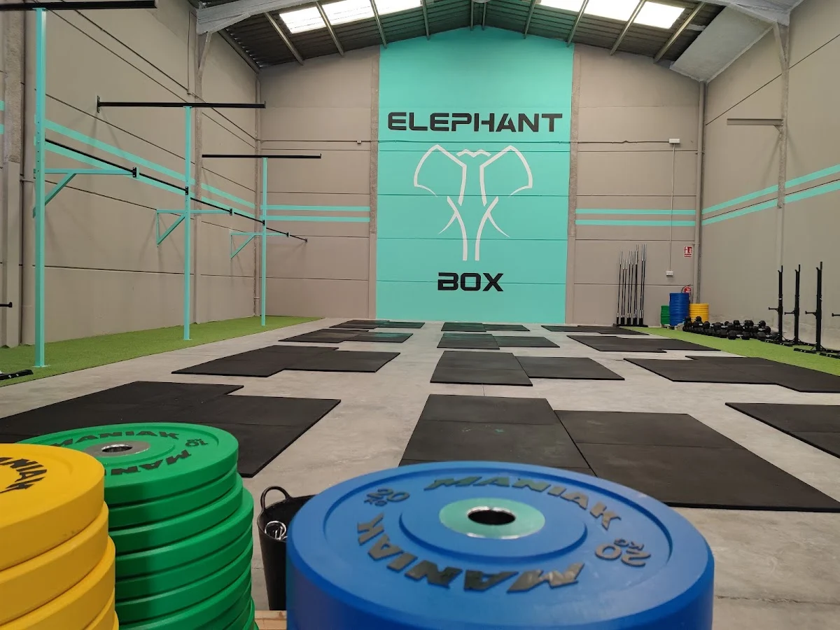 Elephant Box