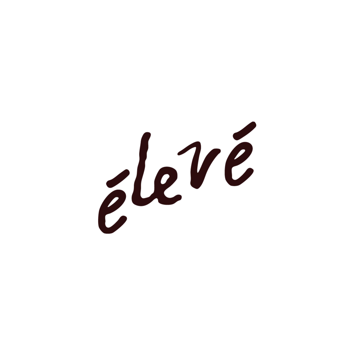 Élevé Barre Studio - 4