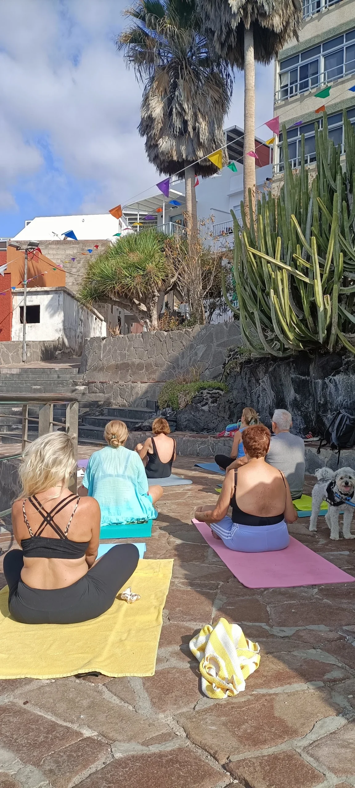 Elisa Pitzalis-Vinyasa Point-Yoga y Pilates - 3