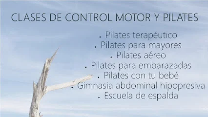 Elisabeth Nevado Pilates Studio Fisioterapeuta