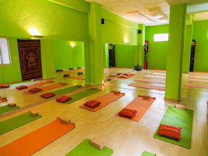 Escuela de Yoga en Madrid | Satyalok Yoga