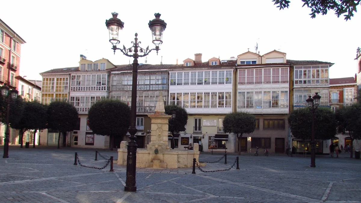 Escuela de Yoga La Casa del Árbol