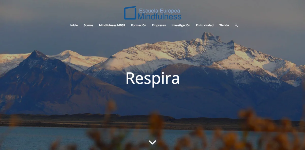 Escuela Europea de Mindfulness, EEM