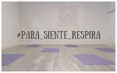 Escuela Yoga Pamplona Hridayam