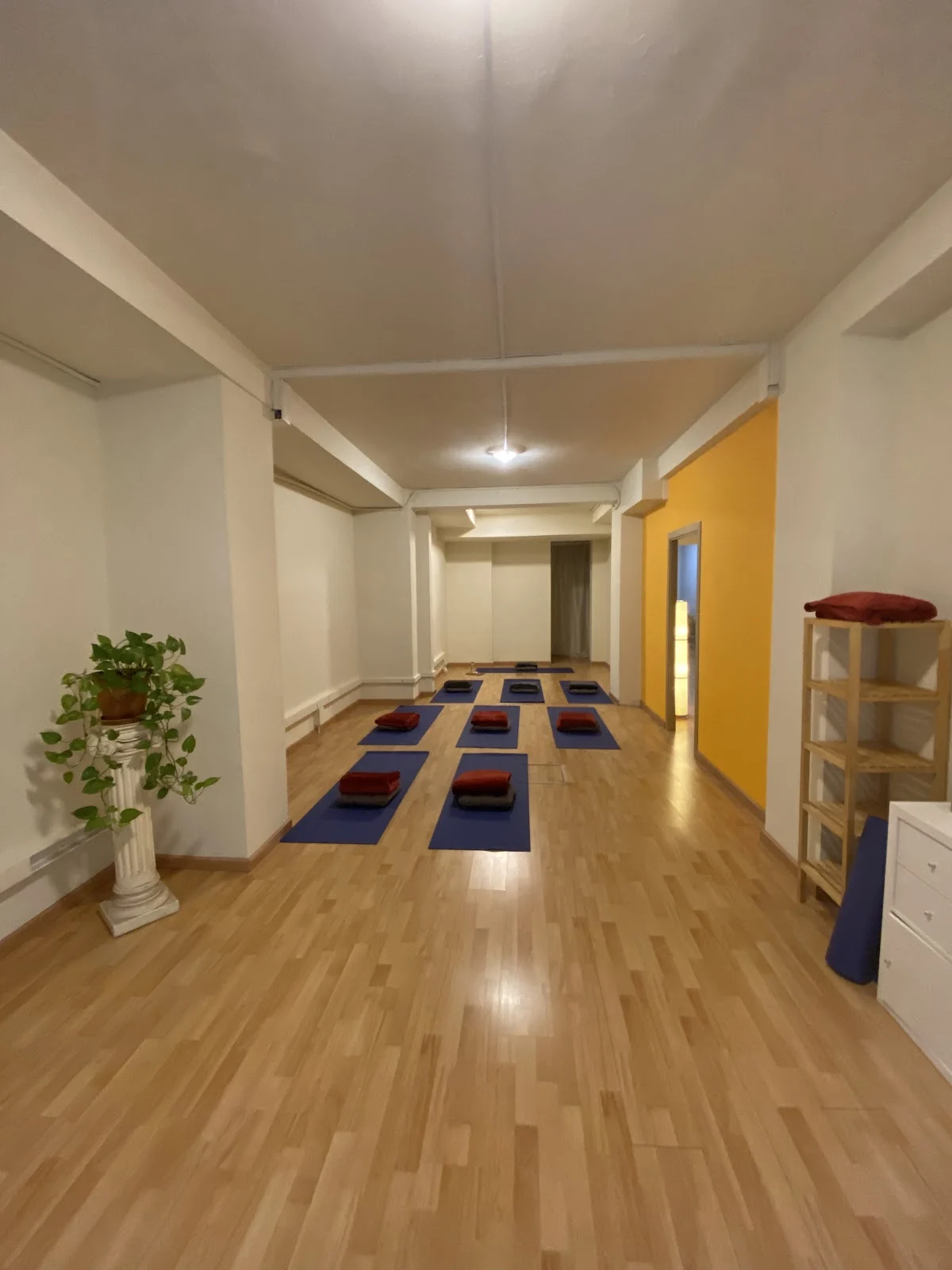 Esoteric Yoga Integral