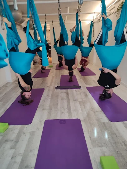 Espai Biosfera - Ioga | Pilates | Aeri | Hipopressius | Mobilitat | Massatges | Nutrició