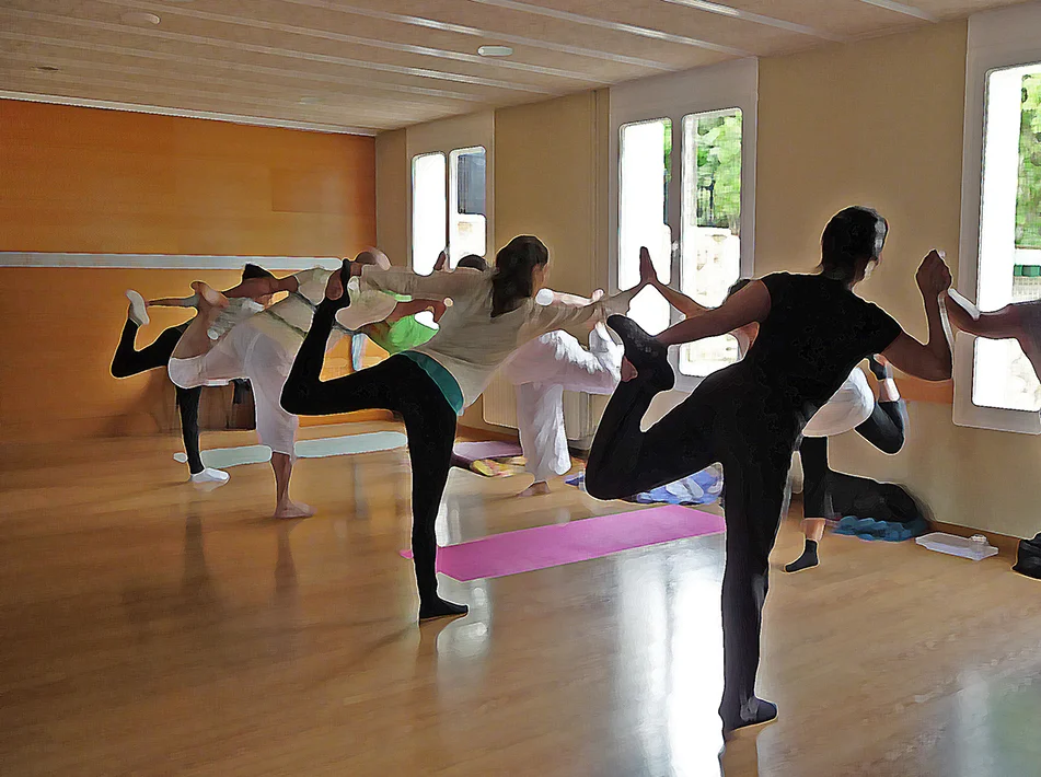 ESPAI SANTOSHA ESCOLA DE YOGA - 2