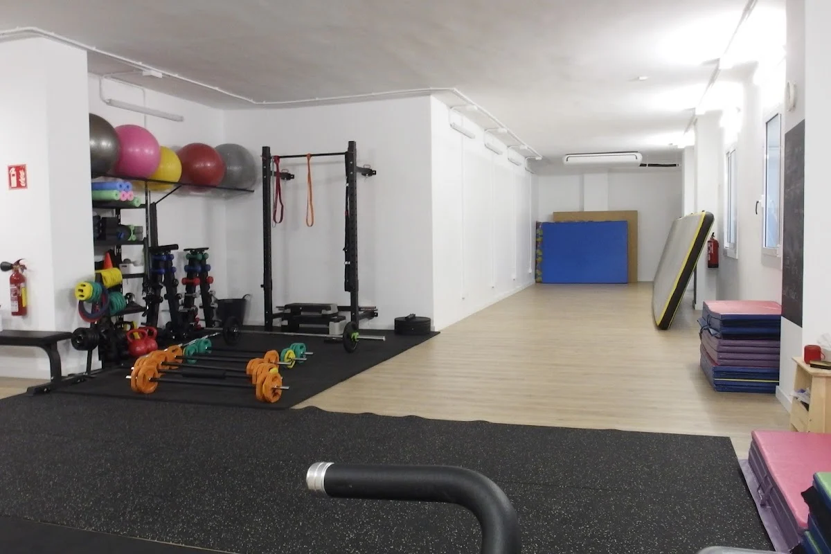 Estudi Fitnes GL - 4
