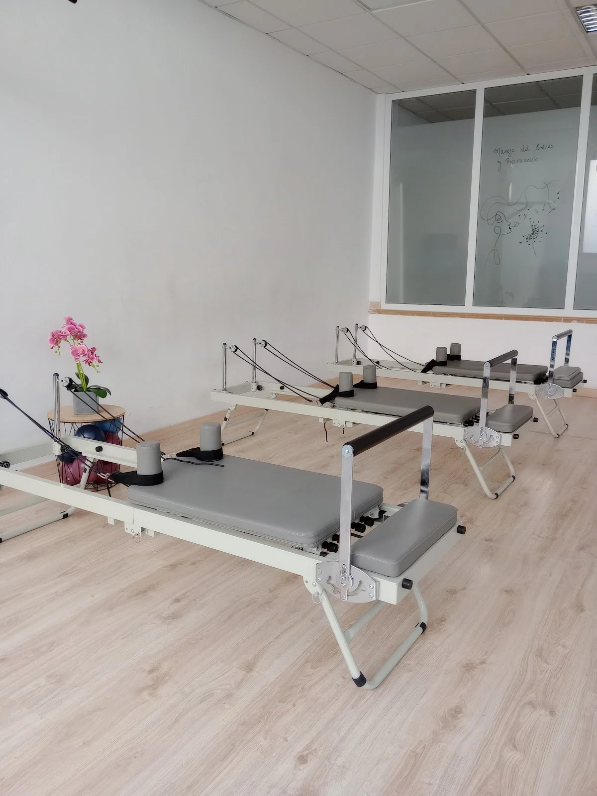 Estudio de Pilates Holistic - 2