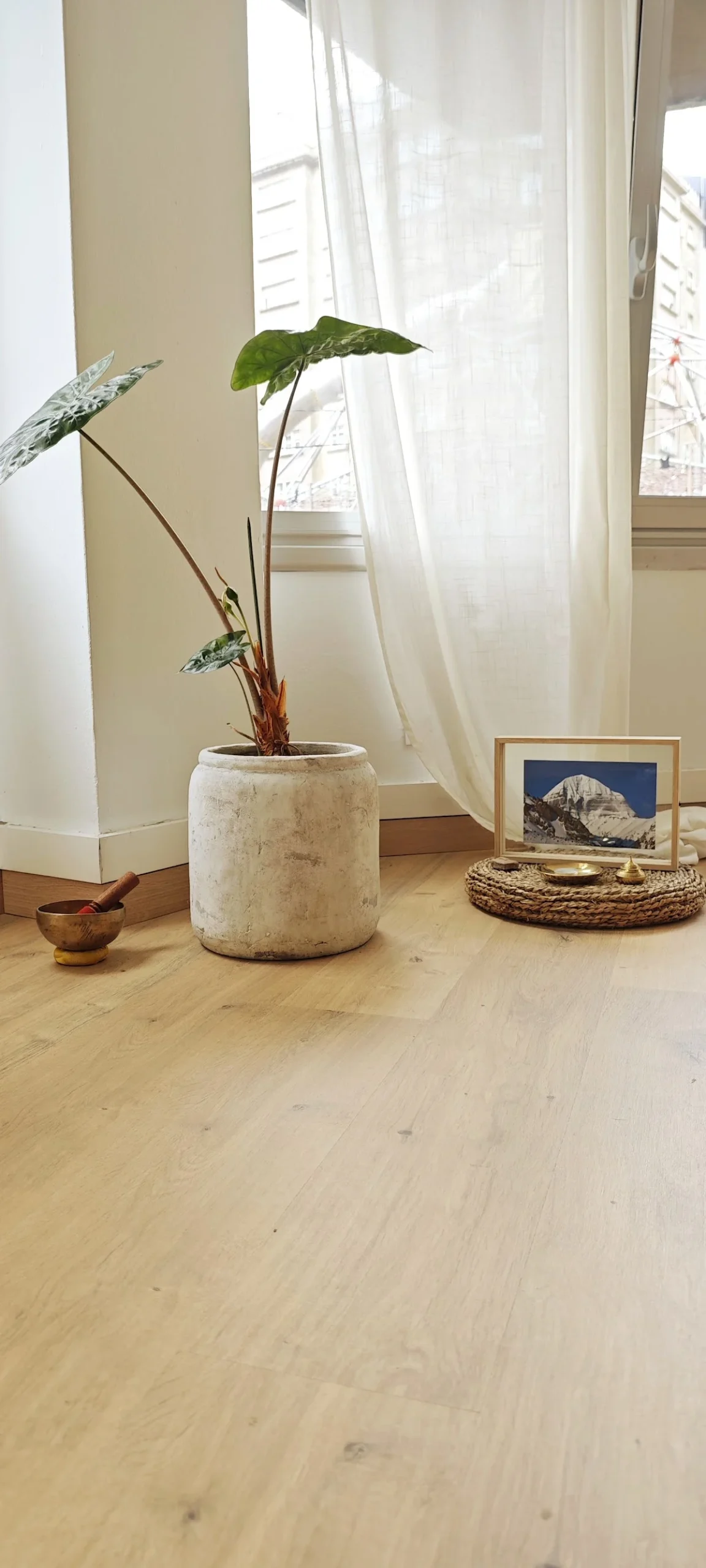 ESTUDIO KALPA; Yoga & Meditación