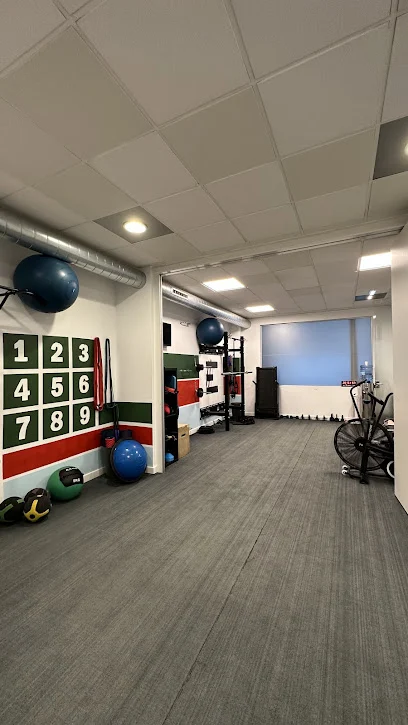 FISIOTERAPEUTA y ENTRENADOR PERSONAL. Centro Deportivo Equipo EGN Gijón