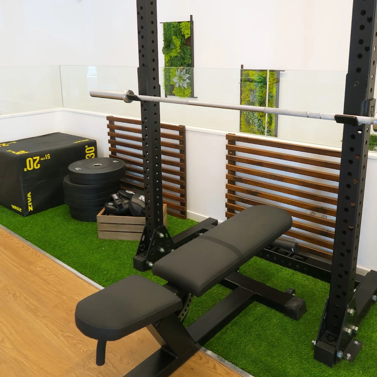 FITNESS 360 - Entrenamiento Personal - 3