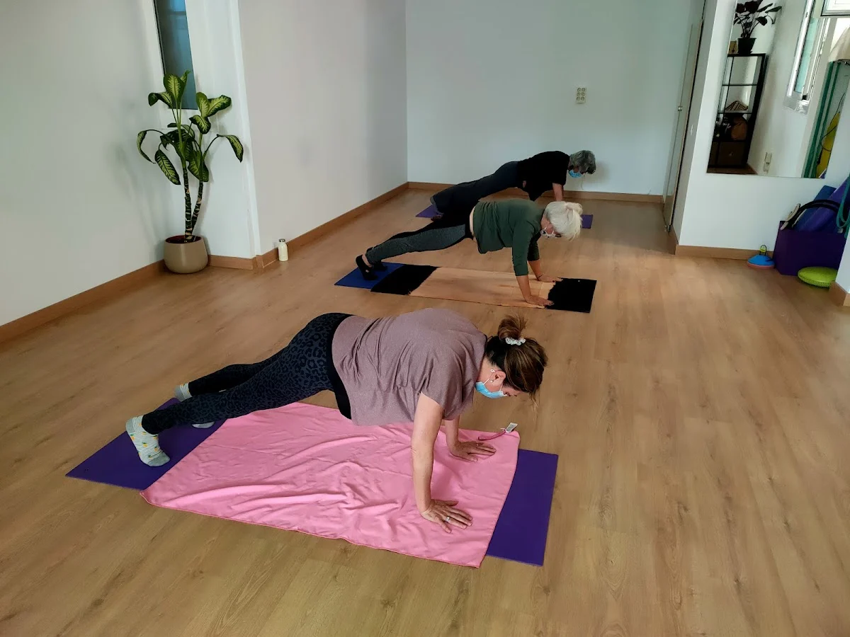 Fitness Bienestar
